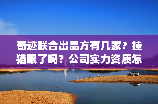 奇迹联合出品方有几家？挂猫眼了吗？公司实力资质怎么样？(奇迹官宣)