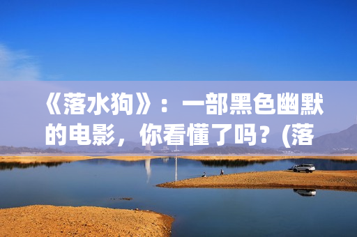 《落水狗》：一部黑色幽默的电影，你看懂了吗？(落水狗下一句是什么)