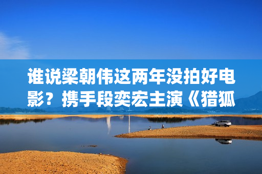 谁说梁朝伟这两年没拍好电影？携手段奕宏主演《猎狐行动》(梁朝伟如何评价)