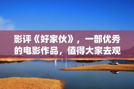 影评《好家伙》，一部优秀的电影作品，值得大家去观看！(影评《好家伙》在线观看)