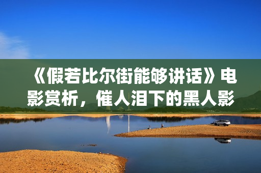 《假若比尔街能够讲话》电影赏析，催人泪下的黑人影片(电影假若比尔街能够讲话)