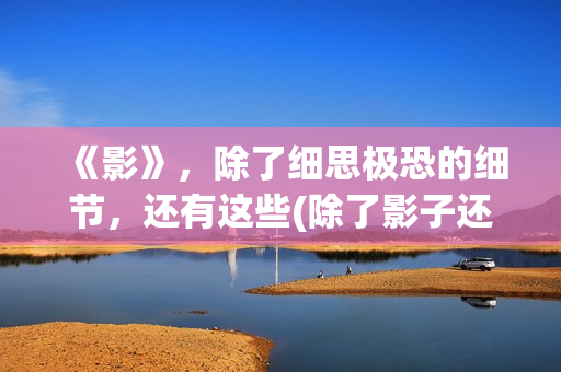《影》，除了细思极恐的细节，还有这些(除了影子还有什么会对你不离不弃)