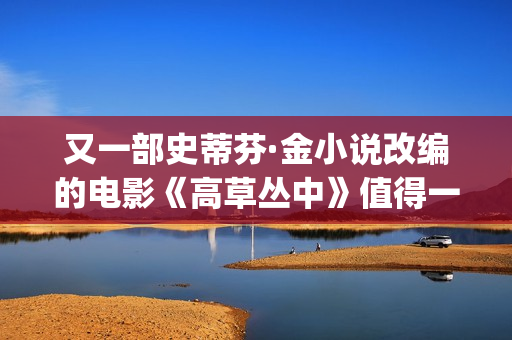 又一部史蒂芬·金小说改编的电影《高草丛中》值得一看(史蒂芬ricci)
