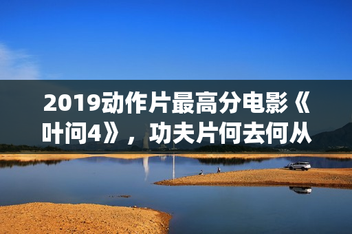 2019动作片最高分电影《叶问4》，功夫片何去何从？(2019动作电影排行榜)