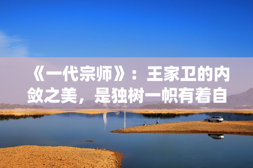 《一代宗师》：王家卫的内敛之美，是独树一帜有着自己独特味道的(一代宗师演员表)