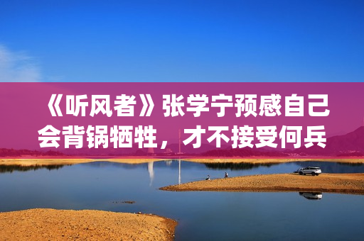 《听风者》张学宁预感自己会背锅牺牲，才不接受何兵的追求(听风者的主要演员是谁)