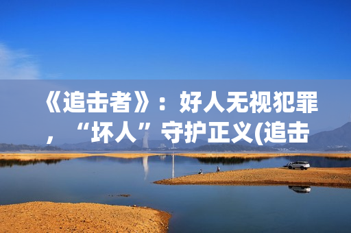 《追击者》：好人无视犯罪，“坏人”守护正义(追击者cut)