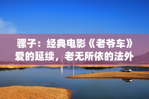 骡子：经典电影《老爷车》爱的延续，老无所依的法外之徒(骡子电影演员表)