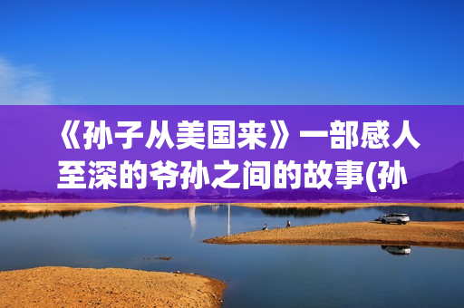 《孙子从美国来》一部感人至深的爷孙之间的故事(孙子从美国来 电影)