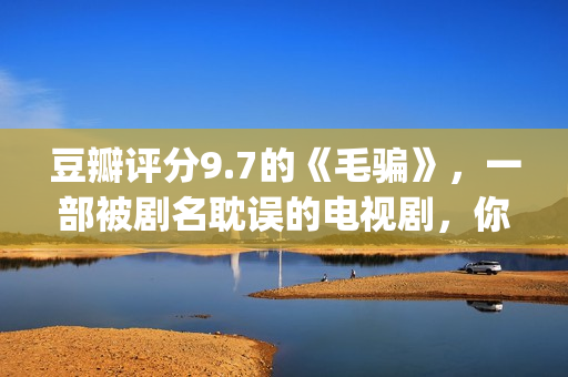 豆瓣评分9.7的《毛骗》，一部被剧名耽误的电视剧，你看过没？(豆瓣评分9.0以上的)