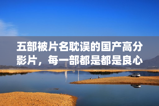 五部被片名耽误的国产高分影片，每一部都是都是良心之作(被耽误了的电影明星)