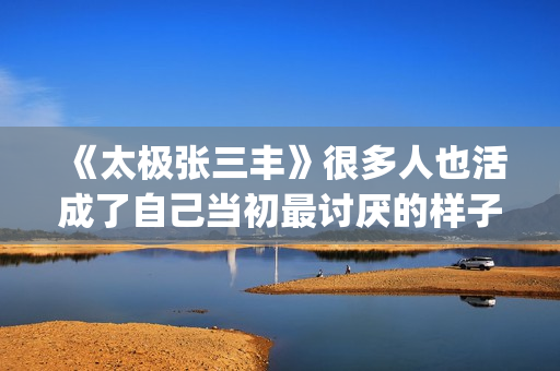 《太极张三丰》很多人也活成了自己当初最讨厌的样子(《太极张三丰》随缘歌词)