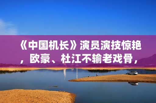 《中国机长》演员演技惊艳，欧豪、杜江不输老戏骨，台词太戳心(《中国机长》主演)