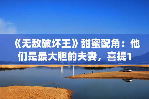 《无敌破坏王》甜蜜配角：他们是最大胆的夫妻，喜提15位家庭成员(《无敌破坏王》国语版)