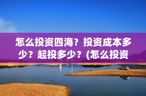怎么投资四海？投资成本多少？起投多少？(怎么投资四海集团公司)