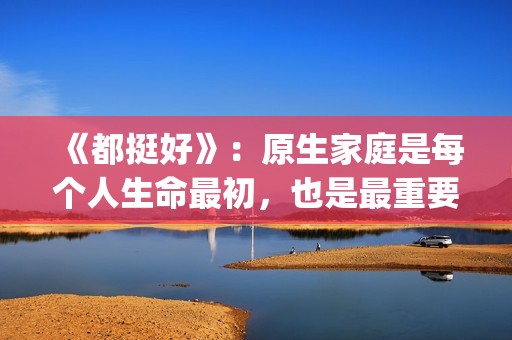 《都挺好》：原生家庭是每个人生命最初，也是最重要的关系。(都挺好原著结局太惨了)