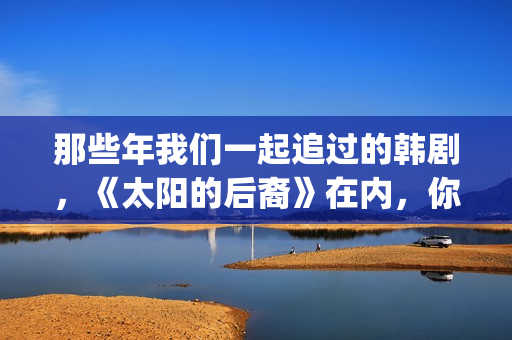 那些年我们一起追过的韩剧，《太阳的后裔》在内，你看过几部呢？(那些年我们一起追的女孩在线观看)