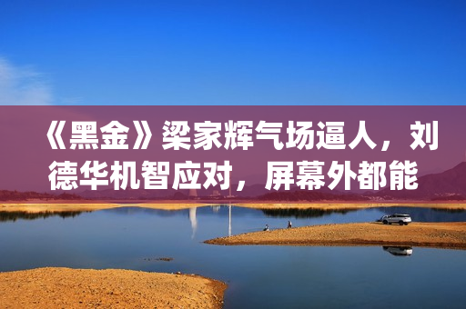 《黑金》梁家辉气场逼人，刘德华机智应对，屏幕外都能感觉到寒气(《黑金》梁家辉做旗袍)