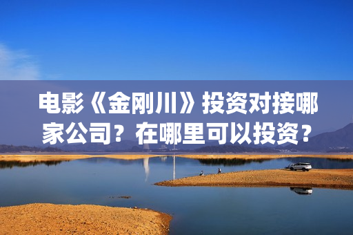 电影《金刚川》投资对接哪家公司？在哪里可以投资？制作成本多少？(电影金刚川观后感)