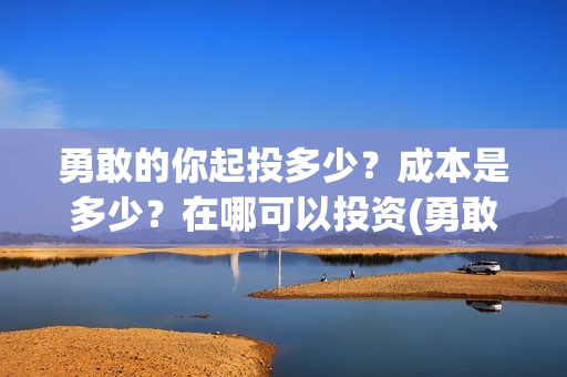 勇敢的你起投多少？成本是多少？在哪可以投资(勇敢的你值不值得投资)