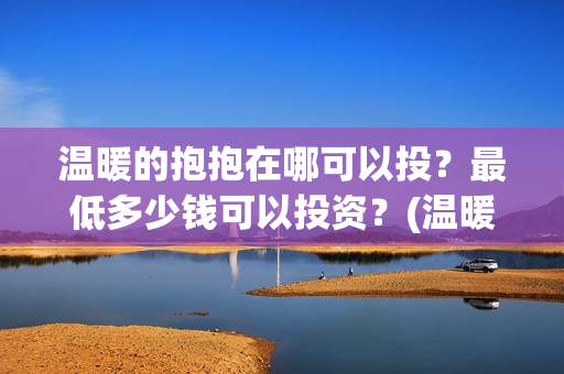 温暖的抱抱在哪可以投？最低多少钱可以投资？(温暖的抱抱是什么剧情)
