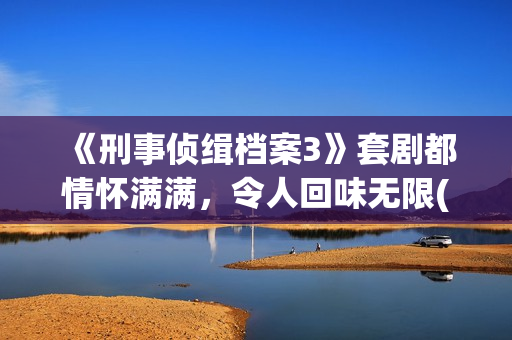 《刑事侦缉档案3》套剧都情怀满满，令人回味无限(刑事侦缉档案2)