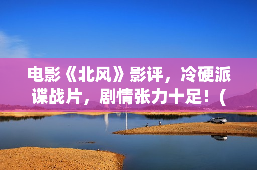 电影《北风》影评，冷硬派谍战片，剧情张力十足！(北风 电影)