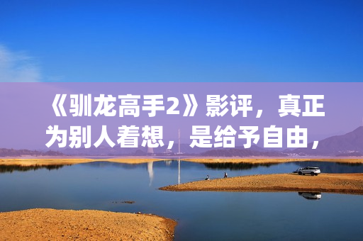 《驯龙高手2》影评，真正为别人着想，是给予自由，这才是真的爱(驯龙高手2在线观看)