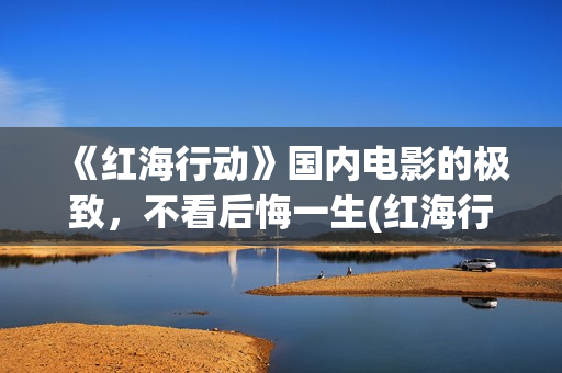《红海行动》国内电影的极致，不看后悔一生(红海行动svd)