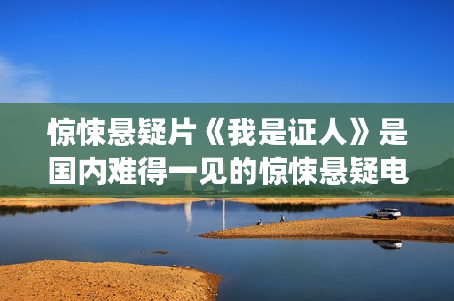 惊悚悬疑片《我是证人》是国内难得一见的惊悚悬疑电影(我要悬疑片)