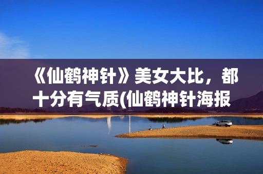 《仙鹤神针》美女大比，都十分有气质(仙鹤神针海报)