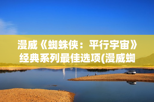 漫威《蜘蛛侠：平行宇宙》经典系列最佳选项(漫威蜘蛛侠3)
