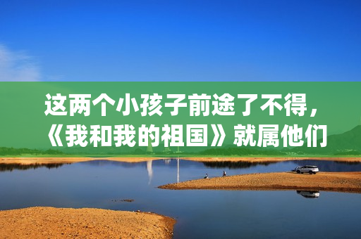 这两个小孩子前途了不得，《我和我的祖国》就属他们两个人最亮眼(两个小孩分别是从什么和什么看问题的)