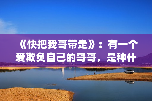 《快把我哥带走》：有一个爱欺负自己的哥哥，是种什么体验？(《快把我哥带走》孙千)