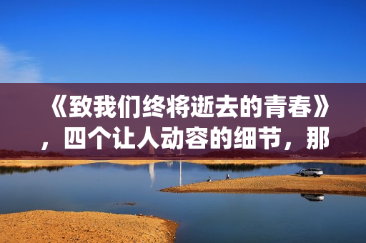 《致我们终将逝去的青春》，四个让人动容的细节，那是你的青春吗(致我们终将逝去的青春赵又廷杨子姗)