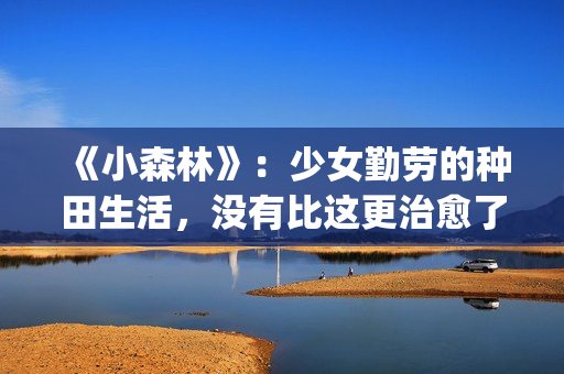 《小森林》：少女勤劳的种田生活，没有比这更治愈了(小森林经典)