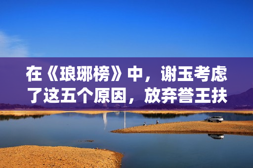 在《琅琊榜》中，谢玉考虑了这五个原因，放弃誉王扶持太子(《琅琊榜》中飞流在除夕吃了几个饺子?)