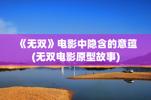 《无双》电影中隐含的意蕴(无双电影原型故事)