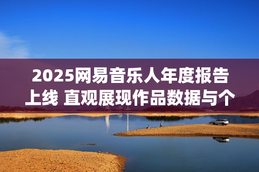 2025网易音乐人年度报告上线 直观展现作品数据与个人成绩(2020网易音乐市场份额)