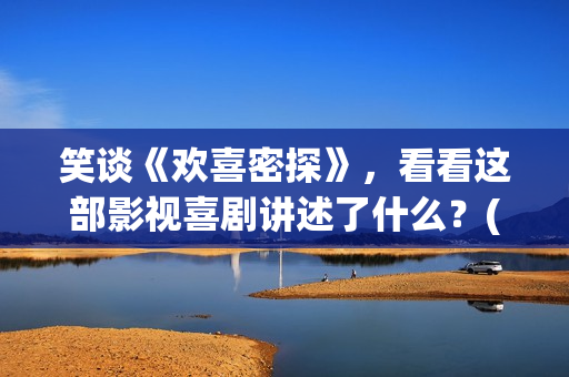 笑谈《欢喜密探》，看看这部影视喜剧讲述了什么？(欢喜密探 小说)