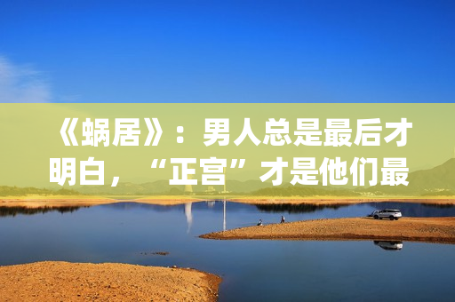 《蜗居》：男人总是最后才明白，“正宫”才是他们最坚定的同盟(蜗居男主角叫啥)