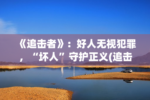 《追击者》：好人无视犯罪，“坏人”守护正义(追击者百科)