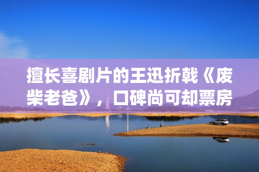 擅长喜剧片的王迅折戟《废柴老爸》，口碑尚可却票房惨淡(喜剧出名的人)