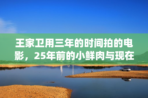 王家卫用三年的时间拍的电影，25年前的小鲜肉与现在有何不同？(王家卫成名作)