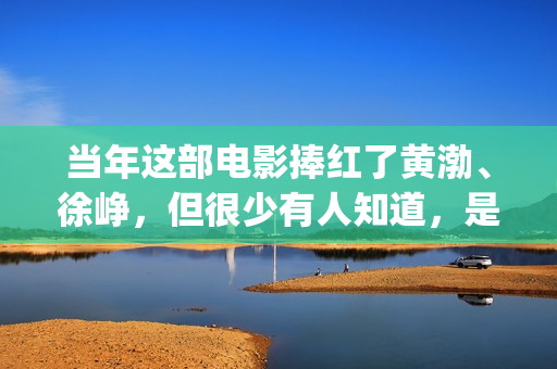 当年这部电影捧红了黄渤、徐峥，但很少有人知道，是刘德华投资的(这部电影是几几年拍的)
