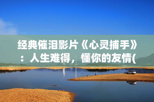 经典催泪影片《心灵捕手》：人生难得，懂你的友情(经典电影催泪片段)
