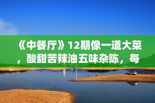《中餐厅》12期像一道大菜，酸甜苦辣油五味杂陈，每一味都是人情(《中餐厅》12期在线观看)