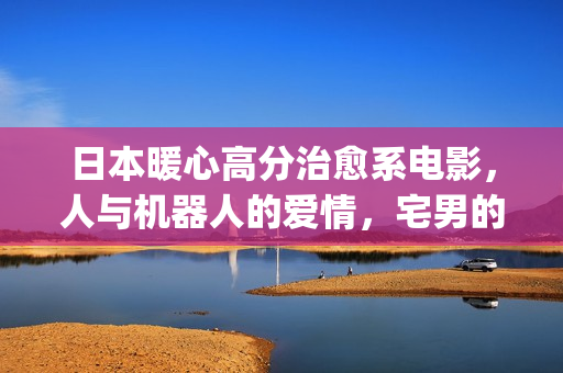 日本暖心高分治愈系电影，人与机器人的爱情，宅男的理想型女友(日本暖心电影推荐)