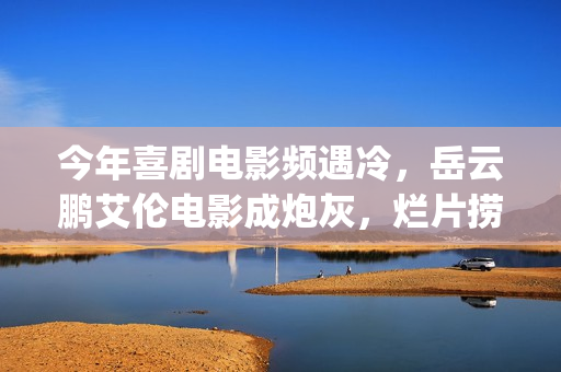 今年喜剧电影频遇冷，岳云鹏艾伦电影成炮灰，烂片捞钱时代已过(今年喜剧电影频道节目表)