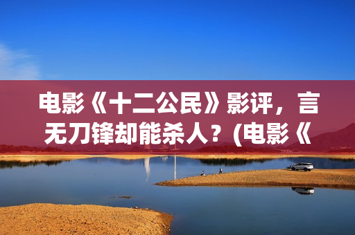 电影《十二公民》影评，言无刀锋却能杀人？(电影《十二公民》)